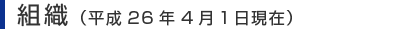 組織・役員